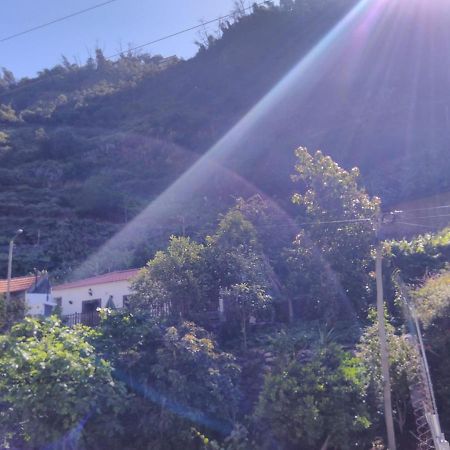 Casa Da Faja Leilighet Funchal  Eksteriør bilde